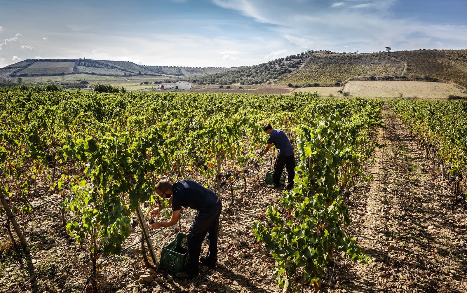 Antonella Corda - Photo de paysage